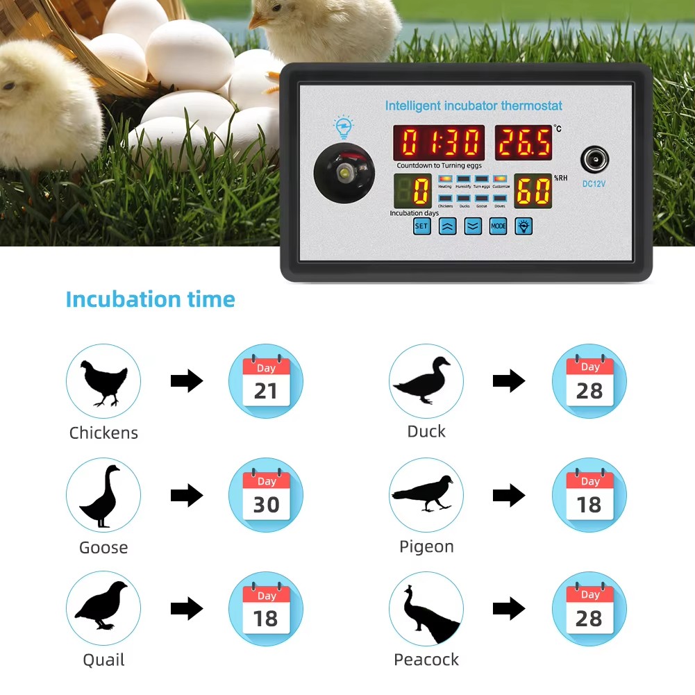 Poultry Incubator - Controlador de incubadora de ovos ZFX-W9002