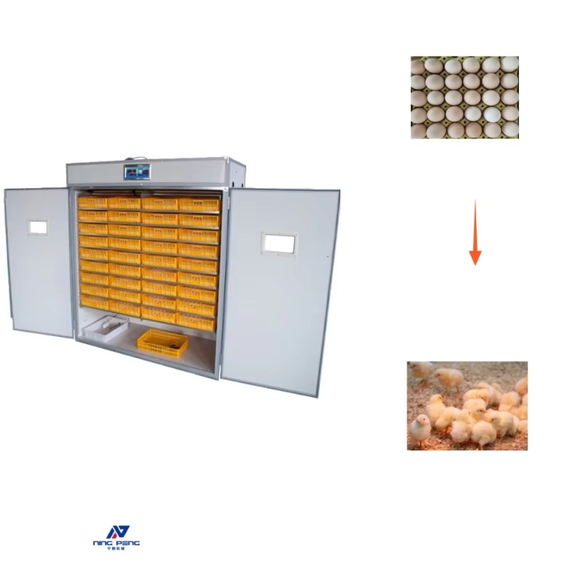 Poultry Incubator - Máquina Incubadora de Ovos de Aves,