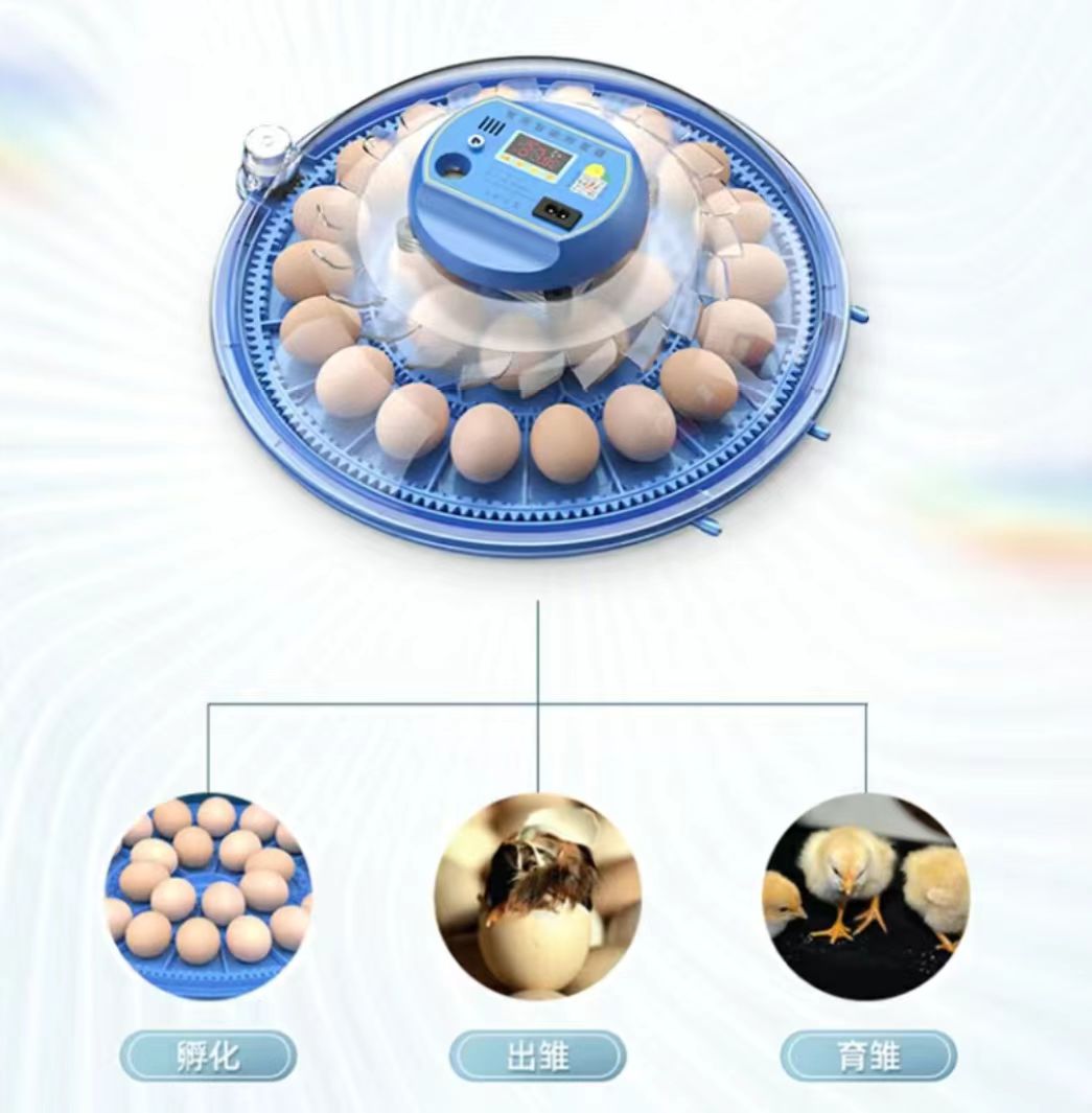 Poultry Incubator - Incubadora de Ovos de Galinha 20/24/36/56/96/112