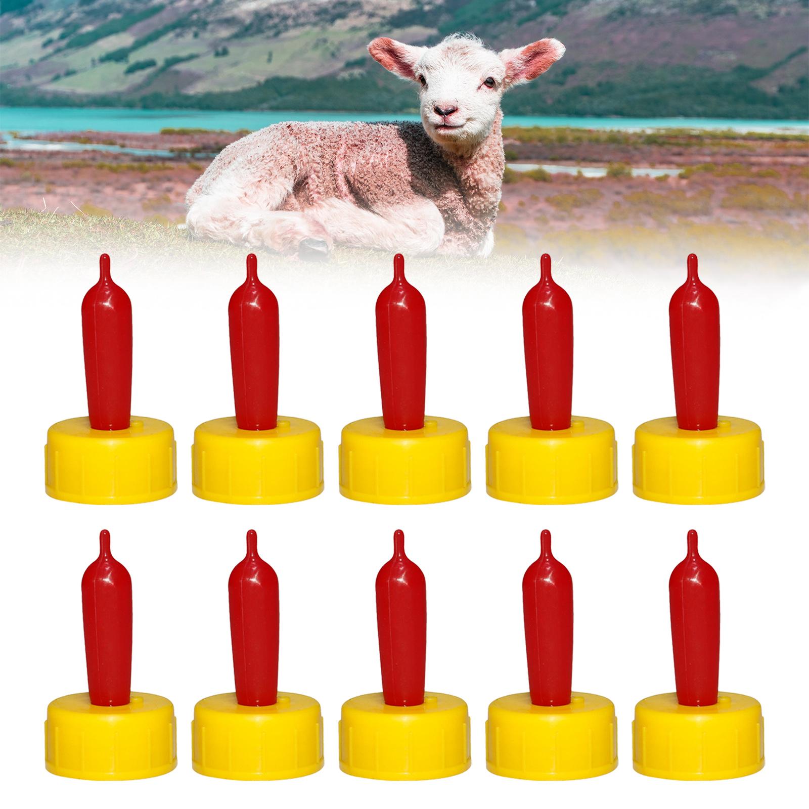 Bico de Borracha Macio para Ov - Agriculture Farming Livestock avaliação e preço