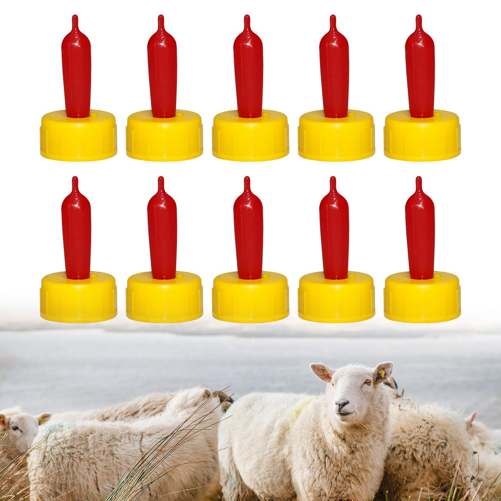 Bico de Borracha Macio para Ov - Agriculture Farming Livestock avaliação e preço