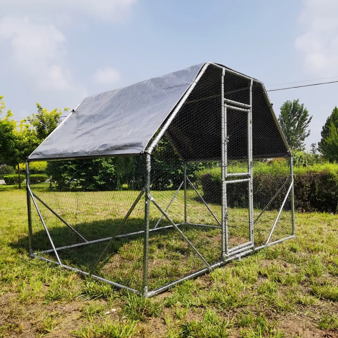 Galpão para galinhas, fabricad - Farming Yt avaliação e preço