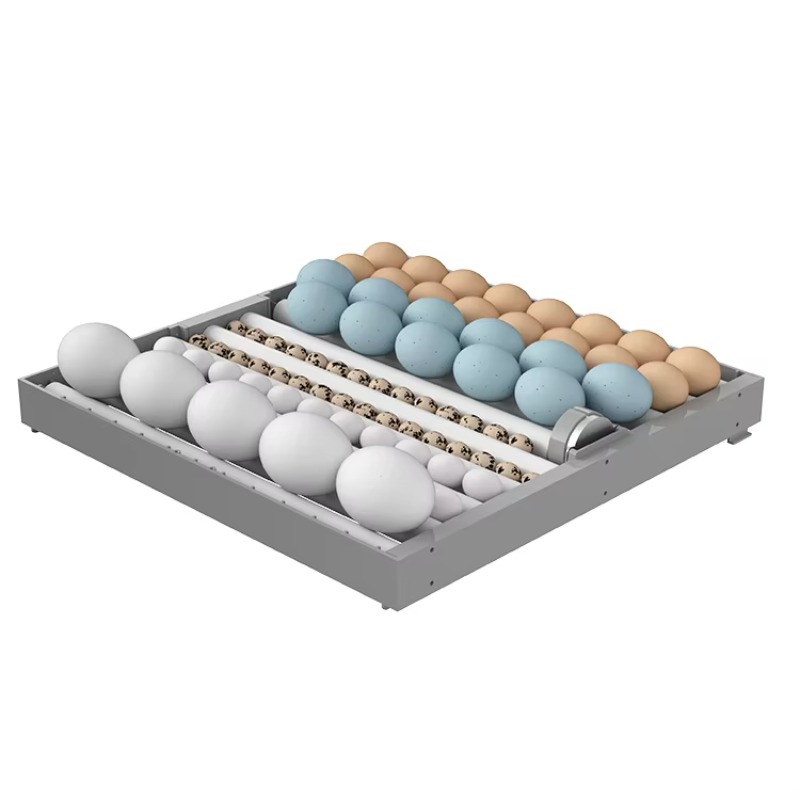 Incubadora Inteligente de 7 Ca - Poultry Incubator avaliação e preço