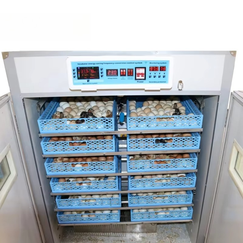 Incubadora Industrial de Ovos  - Poultry Incubator avaliação e preço