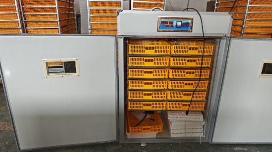 Máquina Incubadora Grande para - Poultry Incubator avaliação e preço