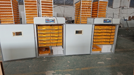 Máquina Incubadora Grande para - Poultry Incubator avaliação e preço