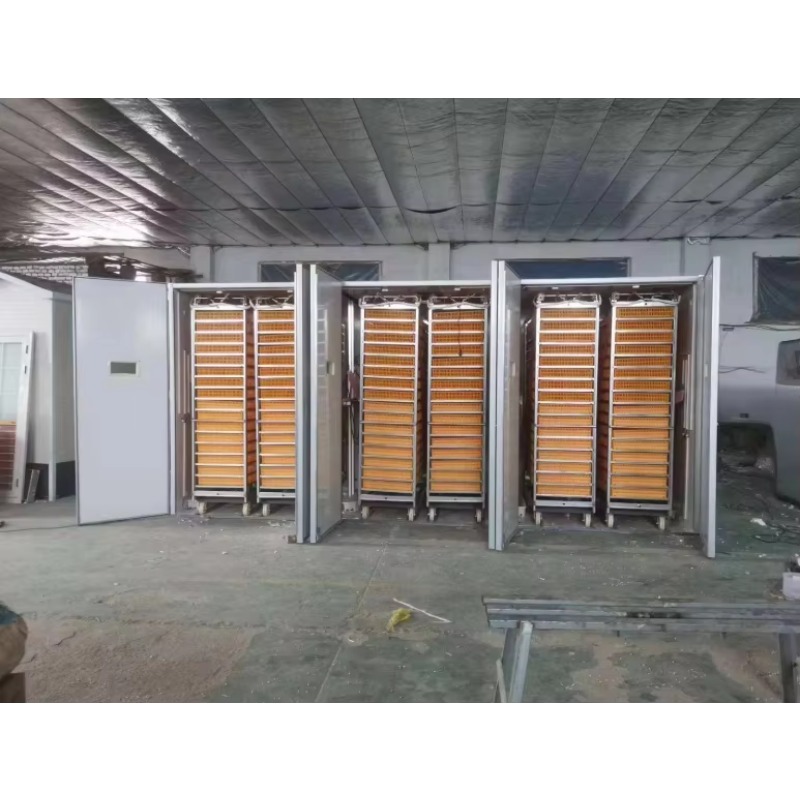 Máquina Incubadora de Ovos de  - Poultry Incubator avaliação e preço