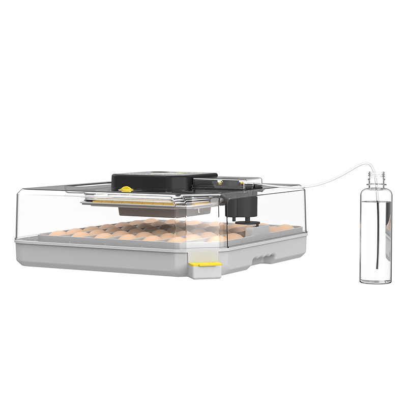 Máquina de Incubação de Codorn - Poultry Incubator avaliação e preço