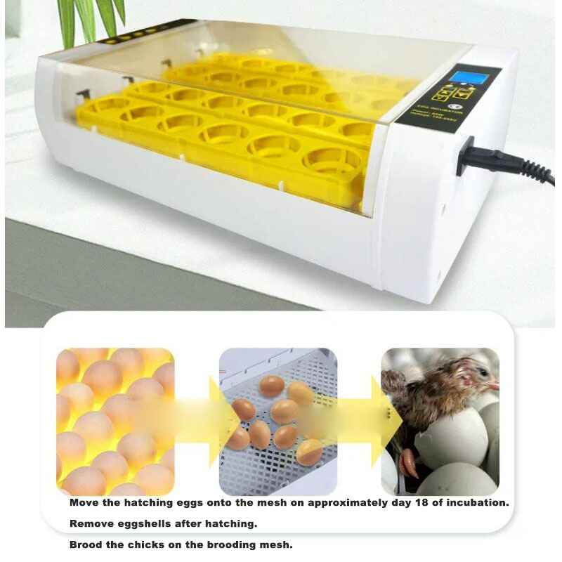 Incubadora de Ovos Totalmente  - Poultry Incubator avaliação e preço