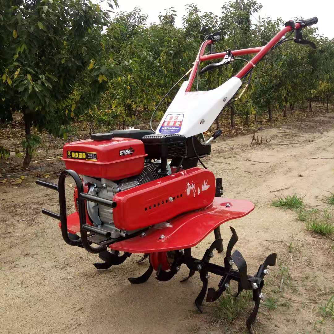 Microcultivador de Alta Produt - Farming Jobs avaliação e preço