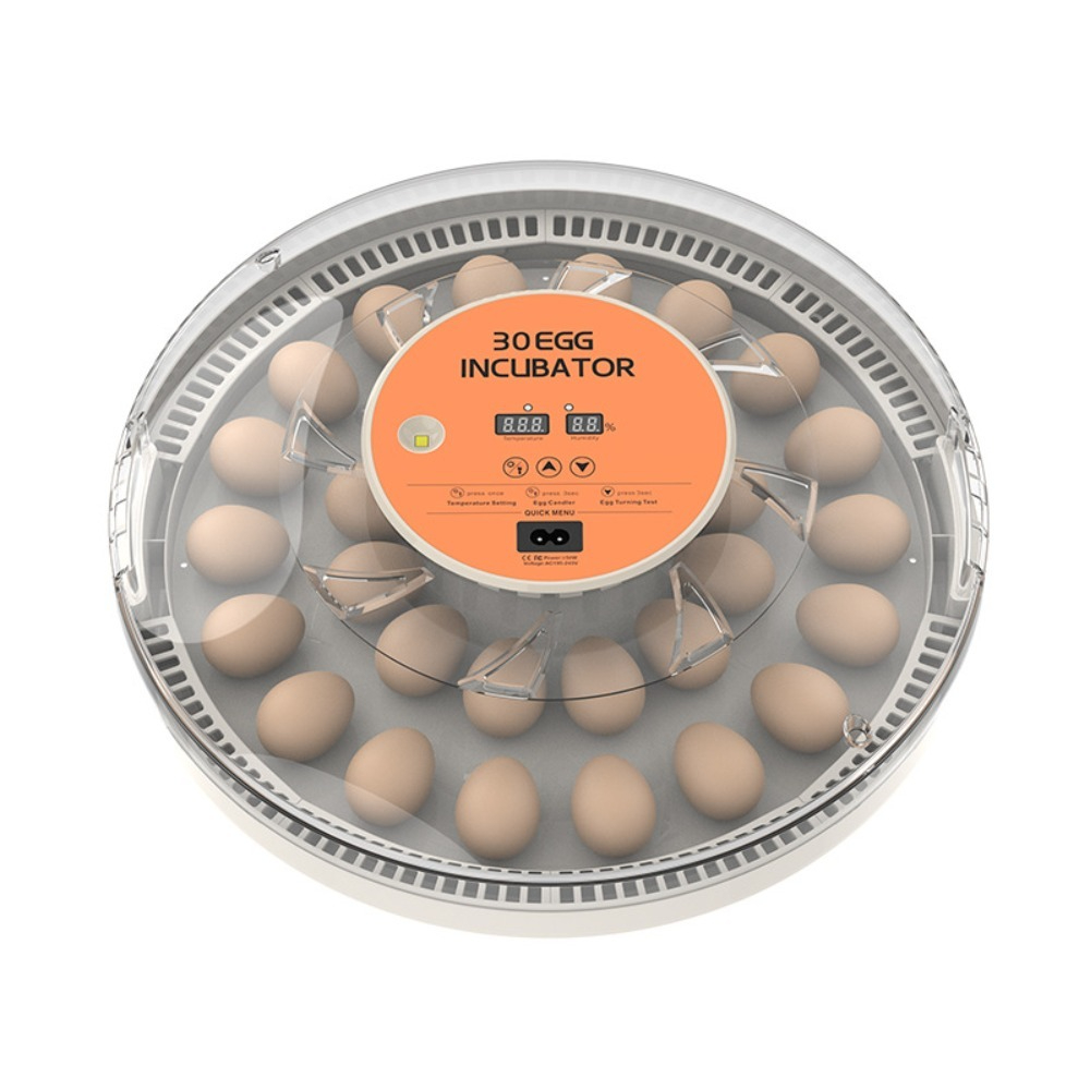 Incubadora Automática Pequena  - Poultry Incubator avaliação e preço