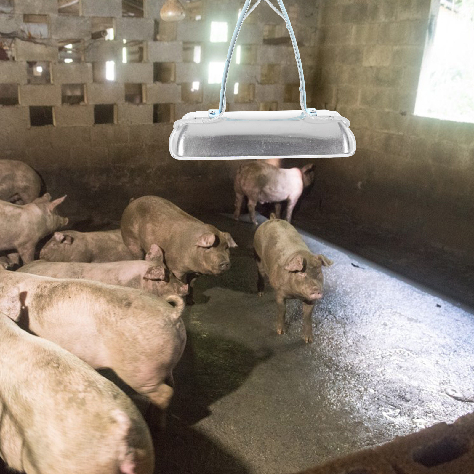 Lâmpada de Preservação para Fa - Farming & Agriculture Word Stacks avaliação e preço