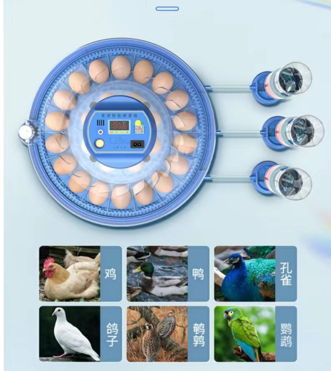 Incubadora de Ovos de Galinha  - Poultry Incubator avaliação e preço