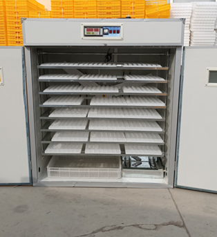 Incubadora de Ovos de Galinha  - Poultry Incubator avaliação e preço